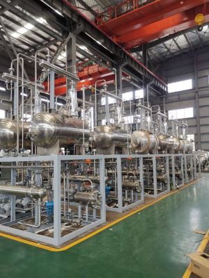 Water Electrolysis System